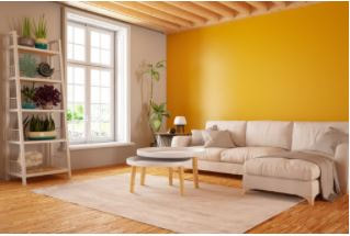 Room with two color tone walls, yellow and white